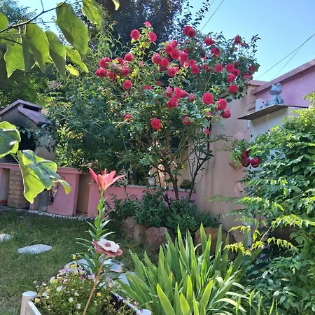 Casa de Férias Olympe Dessenheim