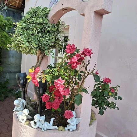 Holiday home Olympe Dessenheim